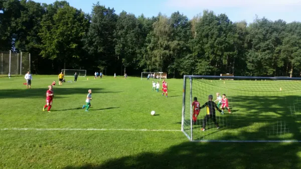 20.08.2017 SG Ullersdorf vs. 1. FC Pirna