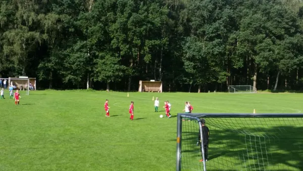 20.08.2017 SG Ullersdorf vs. 1. FC Pirna