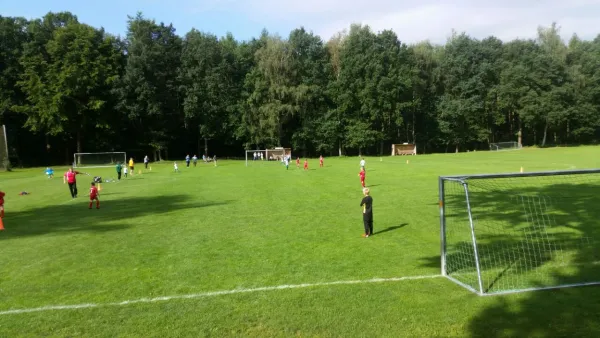 20.08.2017 SG Ullersdorf vs. 1. FC Pirna