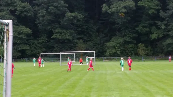 16.09.2017 1. FC Pirna vs. SG Schönfeld