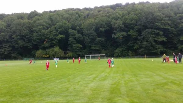 16.09.2017 1. FC Pirna vs. SG Schönfeld