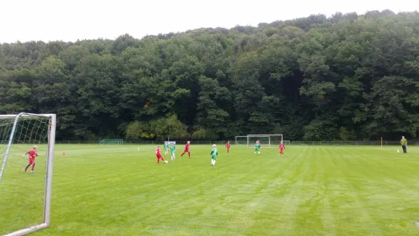 16.09.2017 1. FC Pirna vs. SG Schönfeld