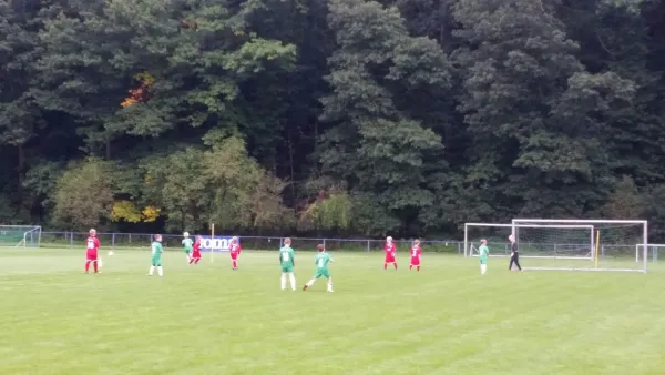 16.09.2017 1. FC Pirna vs. SG Schönfeld
