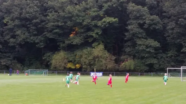 16.09.2017 1. FC Pirna vs. SG Schönfeld