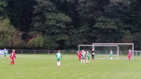 16.09.2017 1. FC Pirna vs. SG Schönfeld