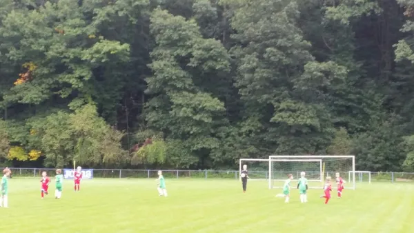16.09.2017 1. FC Pirna vs. SG Schönfeld