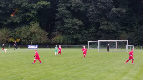 16.09.2017 1. FC Pirna vs. SG Schönfeld