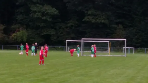 16.09.2017 1. FC Pirna vs. SG Schönfeld