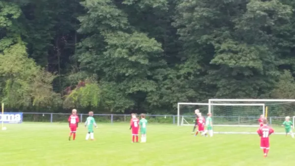 16.09.2017 1. FC Pirna vs. SG Schönfeld