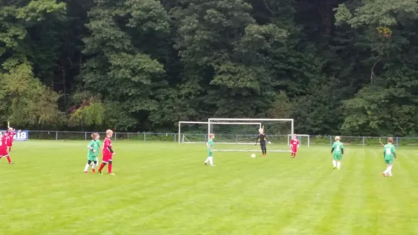 16.09.2017 1. FC Pirna vs. SG Schönfeld