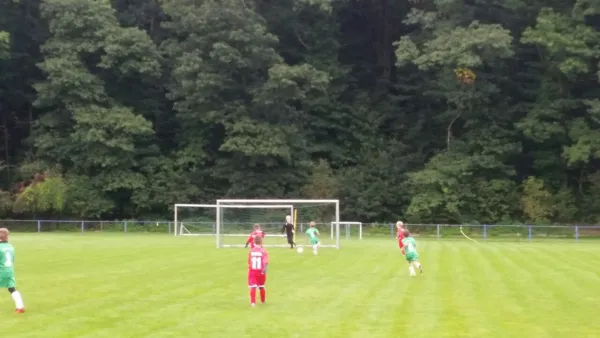 16.09.2017 1. FC Pirna vs. SG Schönfeld