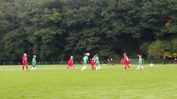 16.09.2017 1. FC Pirna vs. SG Schönfeld