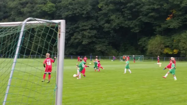 16.09.2017 1. FC Pirna vs. SG Schönfeld