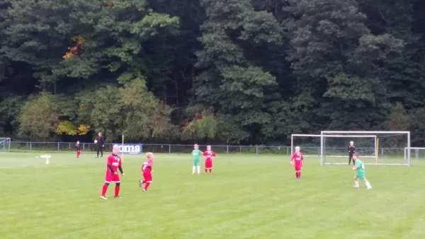 16.09.2017 1. FC Pirna vs. SG Schönfeld