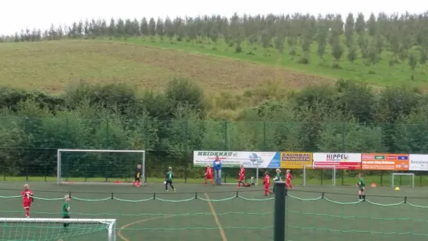 24.09.2017 SV Chemie Dohna vs. 1. FC Pirna