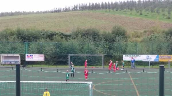 24.09.2017 SV Chemie Dohna vs. 1. FC Pirna