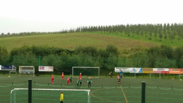 24.09.2017 SV Chemie Dohna vs. 1. FC Pirna
