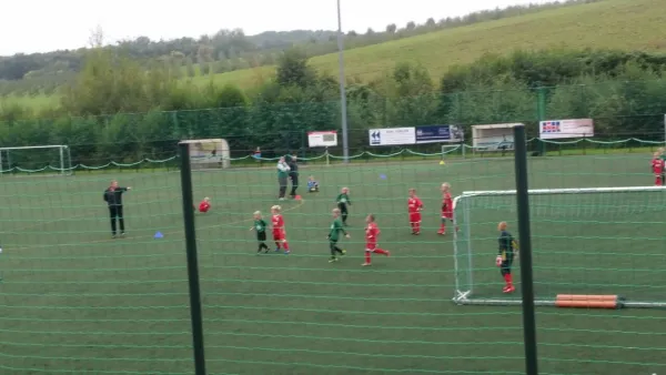 24.09.2017 SV Chemie Dohna vs. 1. FC Pirna