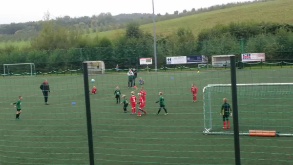 24.09.2017 SV Chemie Dohna vs. 1. FC Pirna