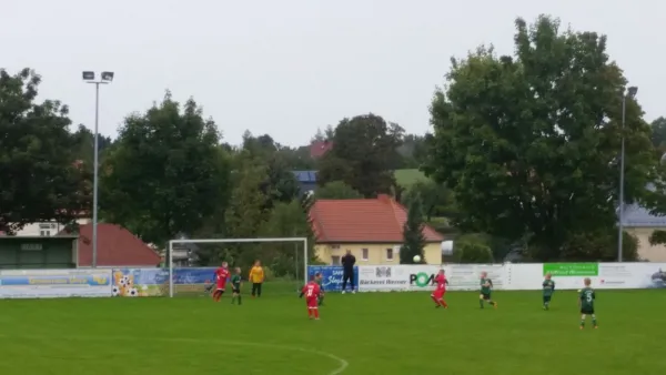 10.09.2017 SV Wesenitztal II vs. 1. FC Pirna