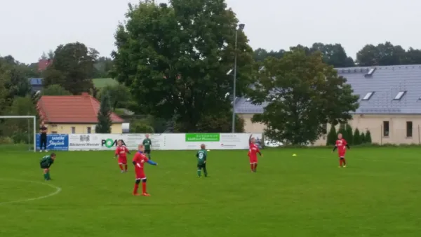 10.09.2017 SV Wesenitztal II vs. 1. FC Pirna