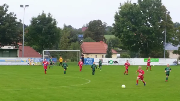 10.09.2017 SV Wesenitztal II vs. 1. FC Pirna