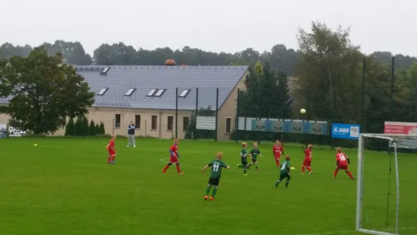 10.09.2017 SV Wesenitztal II vs. 1. FC Pirna
