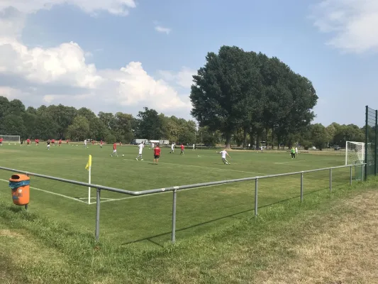 04.08.2018 Dresdner SC 1898 vs. 1. FC Pirna