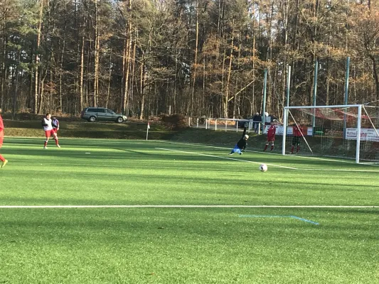 17.11.2018 SG Reinhardtsdorf vs. 1. FC Pirna