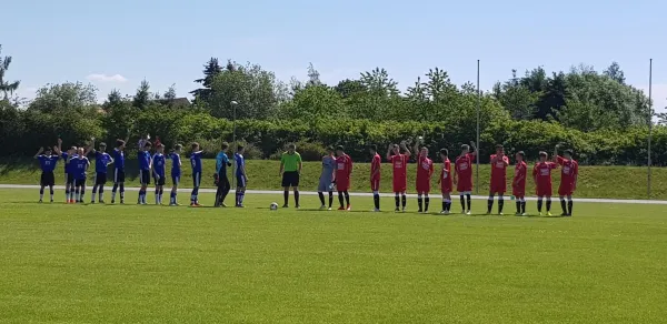 02.06.2019 1. FC Pirna vs. Neustadt/Langburk.