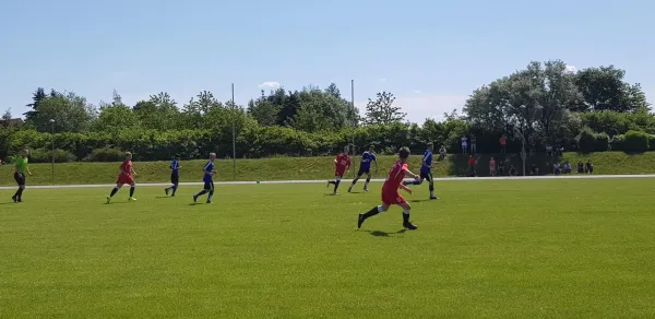 02.06.2019 1. FC Pirna vs. Neustadt/Langburk.