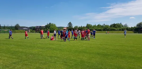 02.06.2019 1. FC Pirna vs. Neustadt/Langburk.